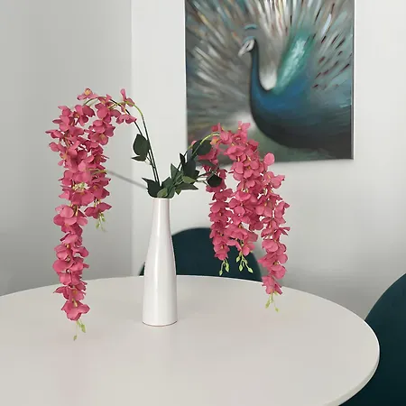Apartment Gavas Near Arena *